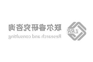 广东市场调研公司-汽车用品市场分析项目可行性研究报告